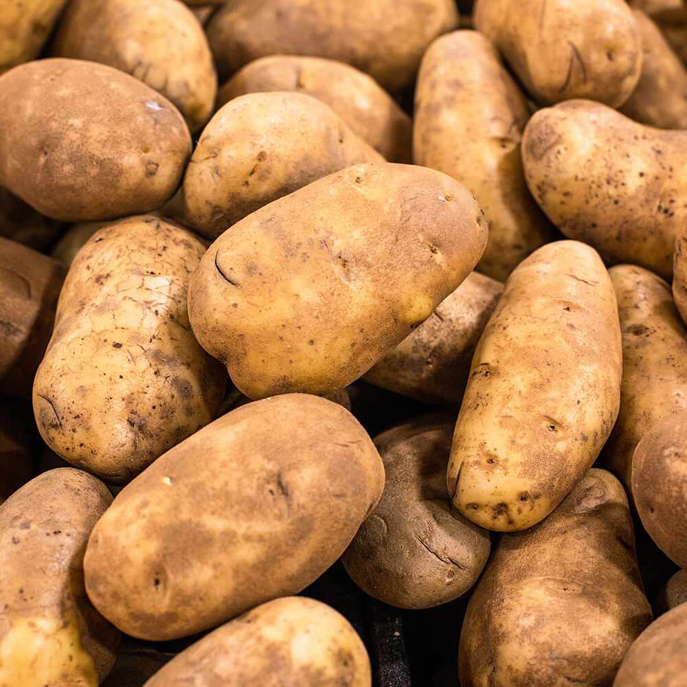 Potato-Russet-Idaho-img-3
