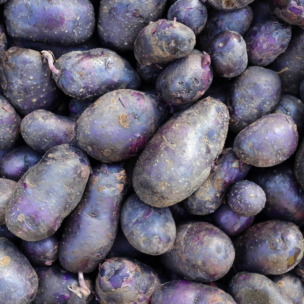 Purple-Potatoes-img-4