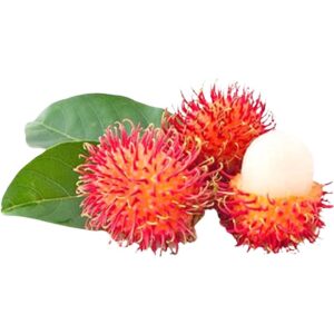 Rambutan Vietnam