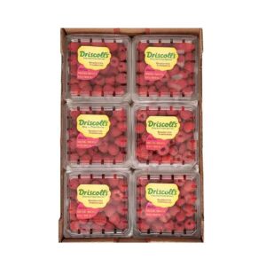 Raspberry Driscoll's Box