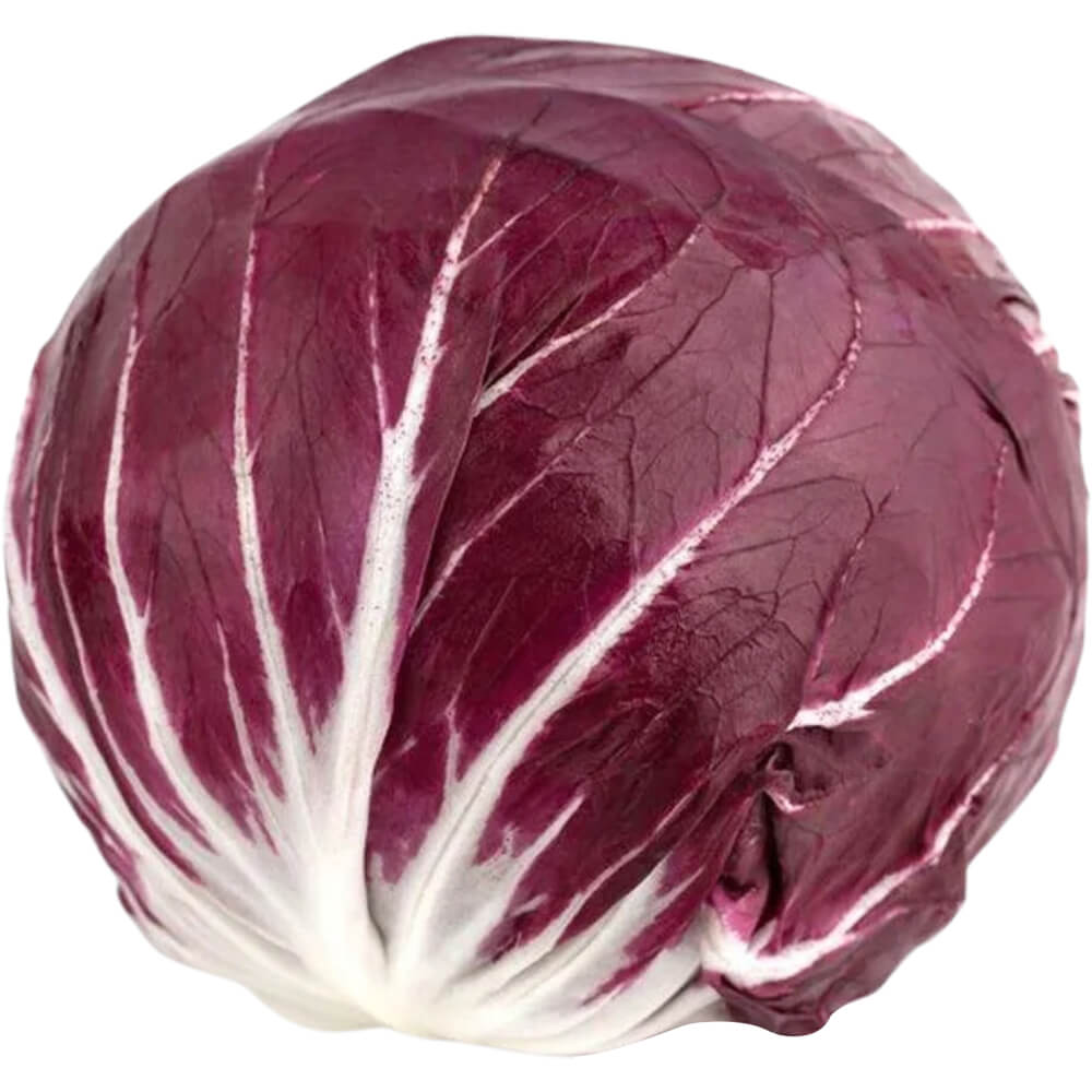 Red-Lettuce-Holland-img-2