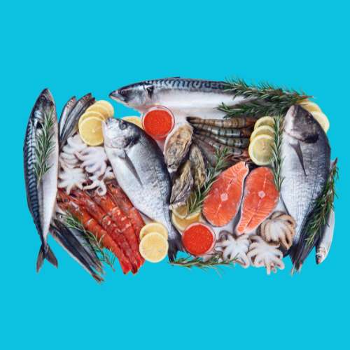 Ocean Food