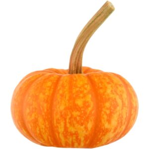 Sparkler Pumpkin Halloween <span class="cwu-weight-badge cwu-weight-badge--inline">Handball size</span>