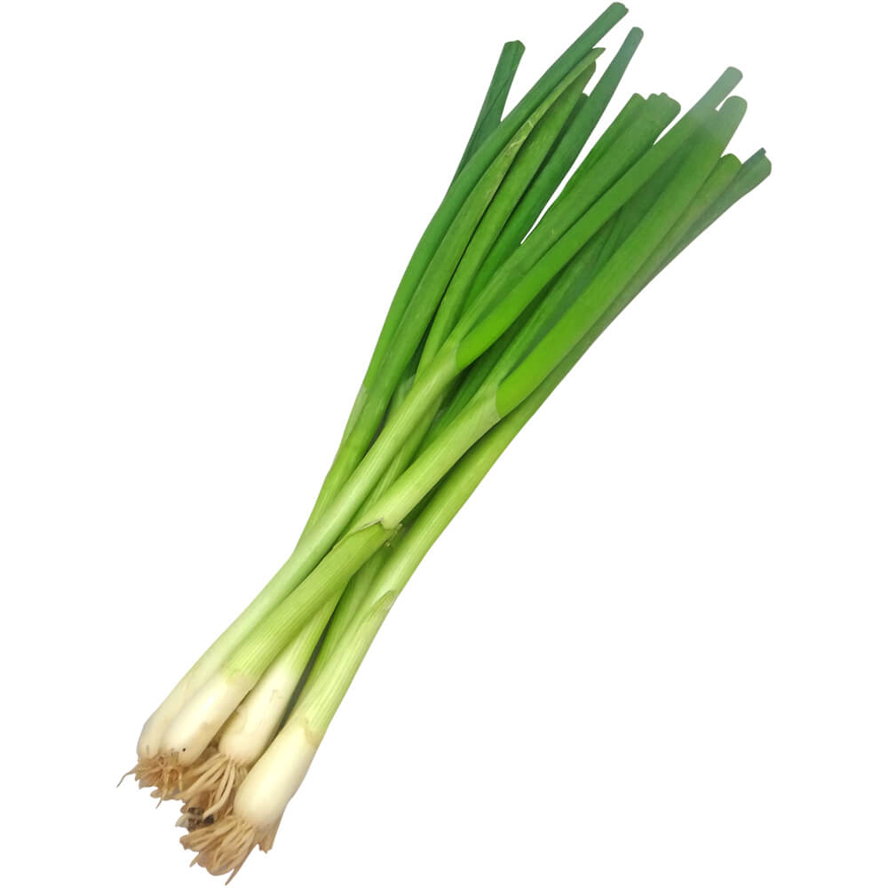 Spring-Onion-img-2