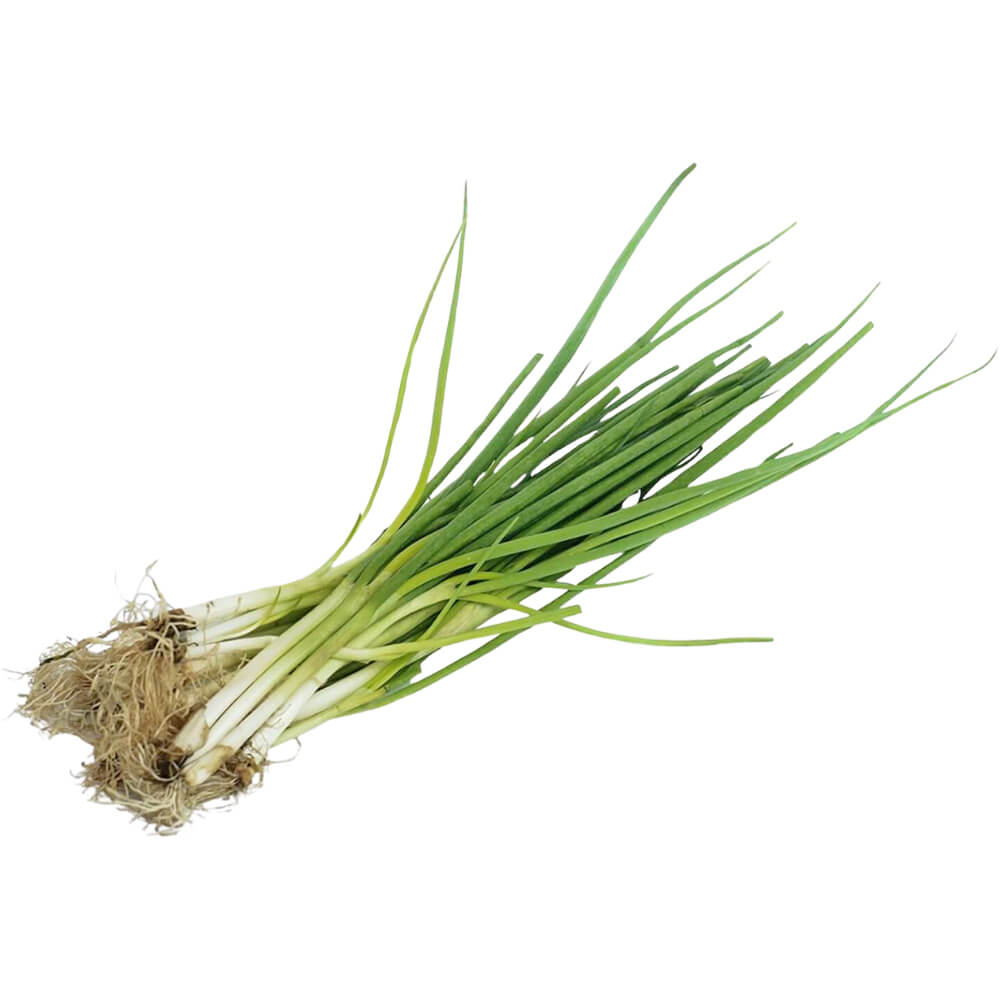 Spring-Onion-img-3