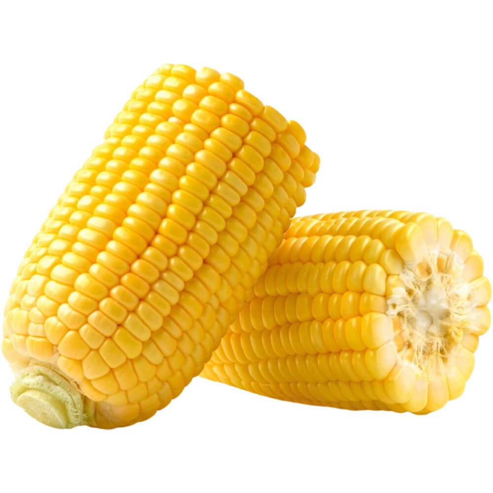 Sweet-Corn-img-2