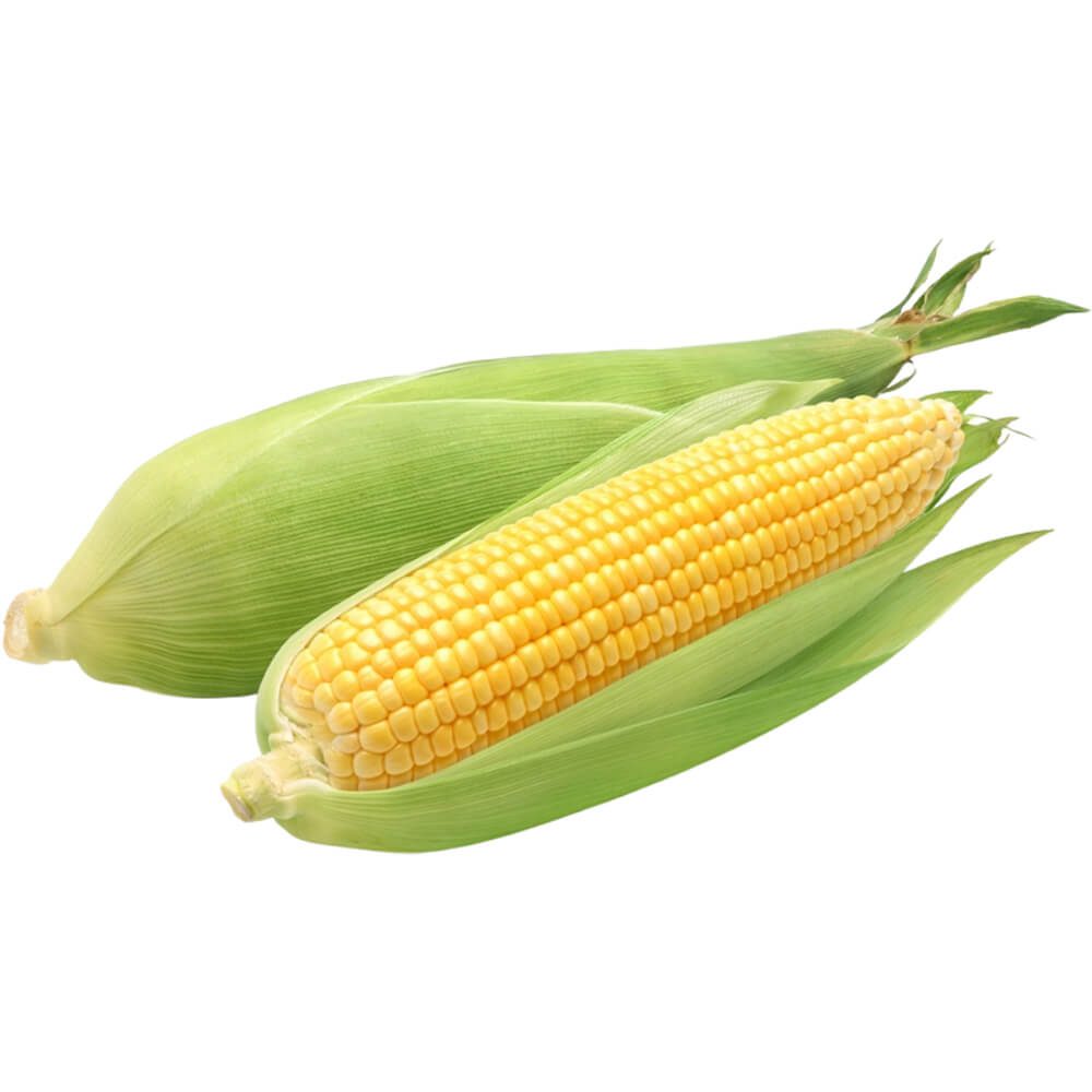 Sweet-Corn-img-3