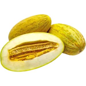 Sweet Melon Mashadi