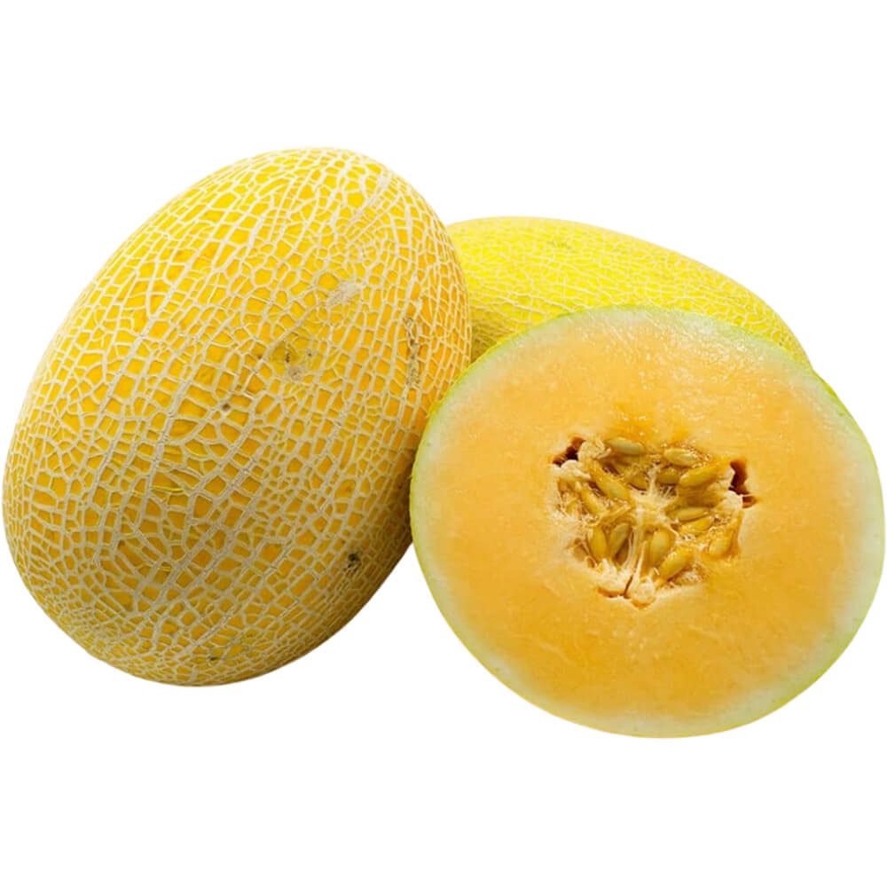 Sweet-Melon-img-2
