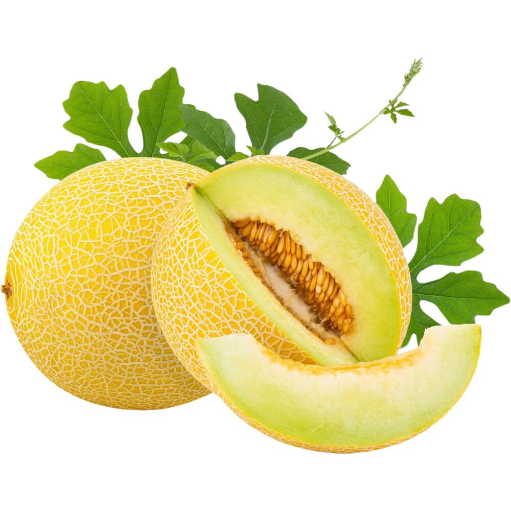 Sweet-Melon-img-4