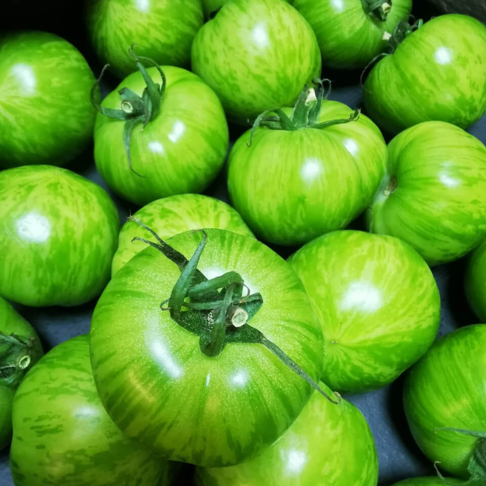 Tiger-Tomatoes-img-3