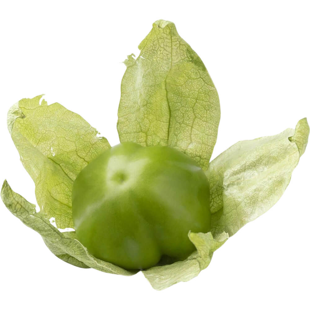 Tomatillo-img-2