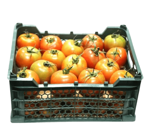 Tomato Green House