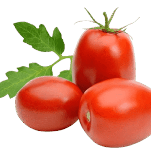 Tomato Plum Roma Holland