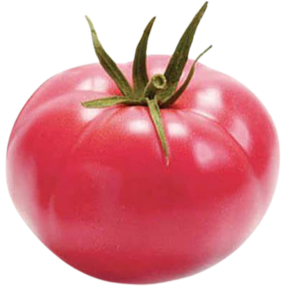 Tomato-Uzbek-img-3