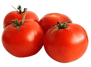 Tomatoes-img-1