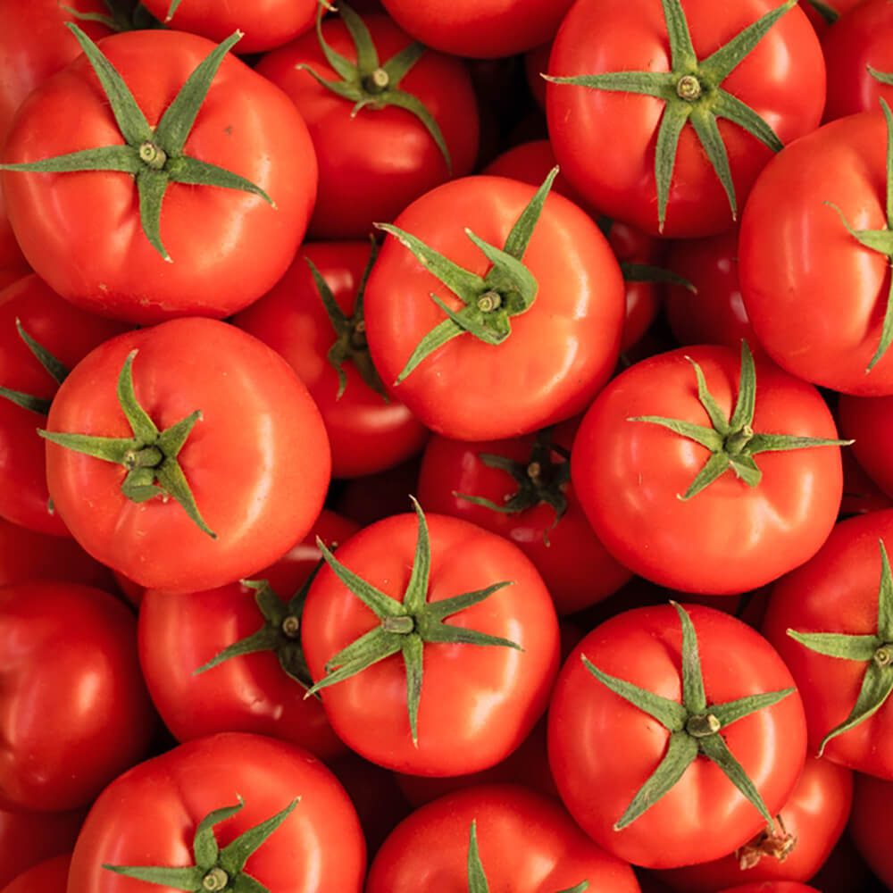 Tomatoes-img-4
