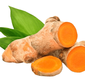 Turmeric Organic