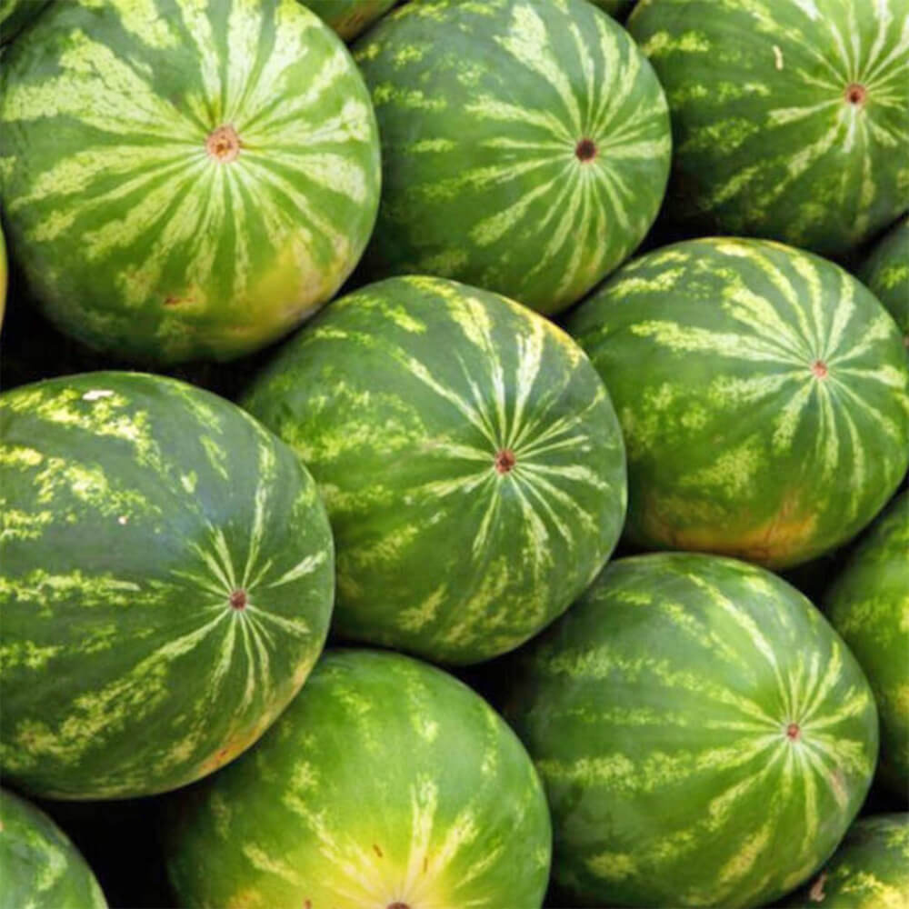 Watermelon-Local-img-3