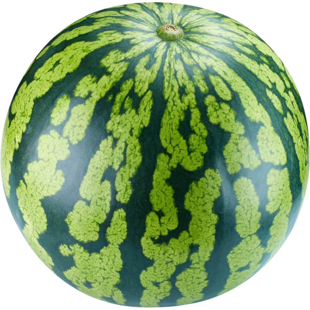 Watermelon-img-3