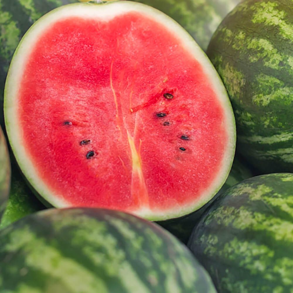 Watermelon-img-4