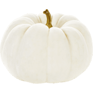 White Pie Pumpkin <span class="cwu-weight-badge cwu-weight-badge--inline">Piece (Approx. 1.1kg)</span>