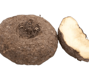 Yam India