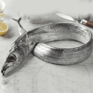 Beltfish