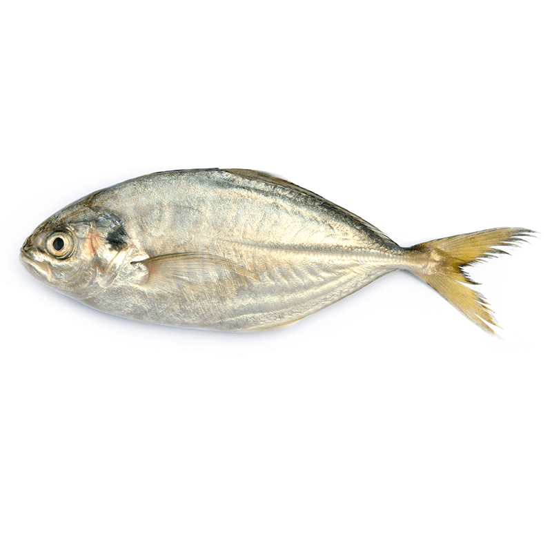 Durduman