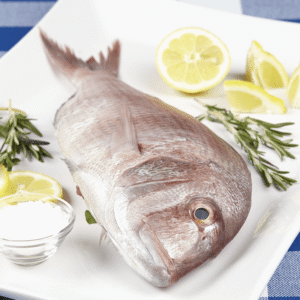 Koffer / King Soldier Bream