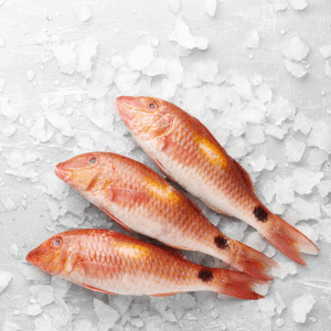 Red Mullet