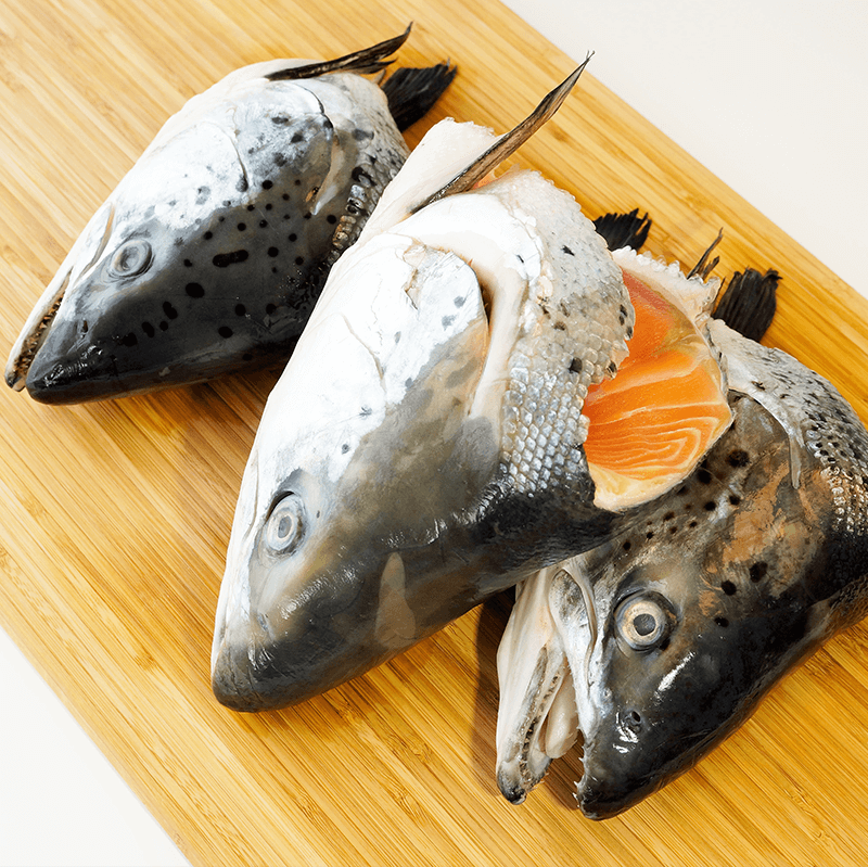 Salmon Head