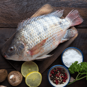 Tilapia