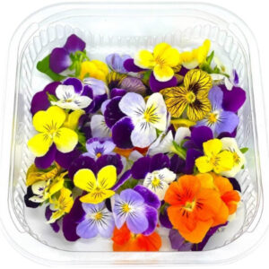 Edible Flowers