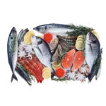 Ocean Food